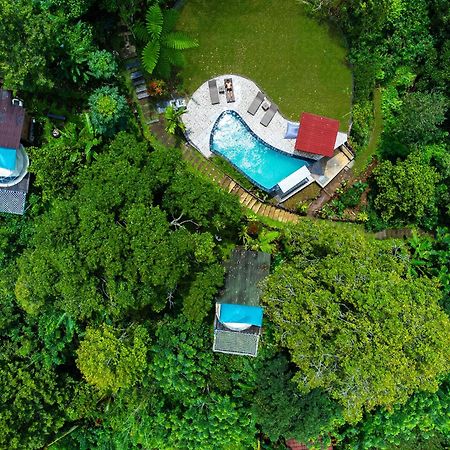 Bali Jungle Camping By Amerta Experience Selemadeg Eksteriør bilde