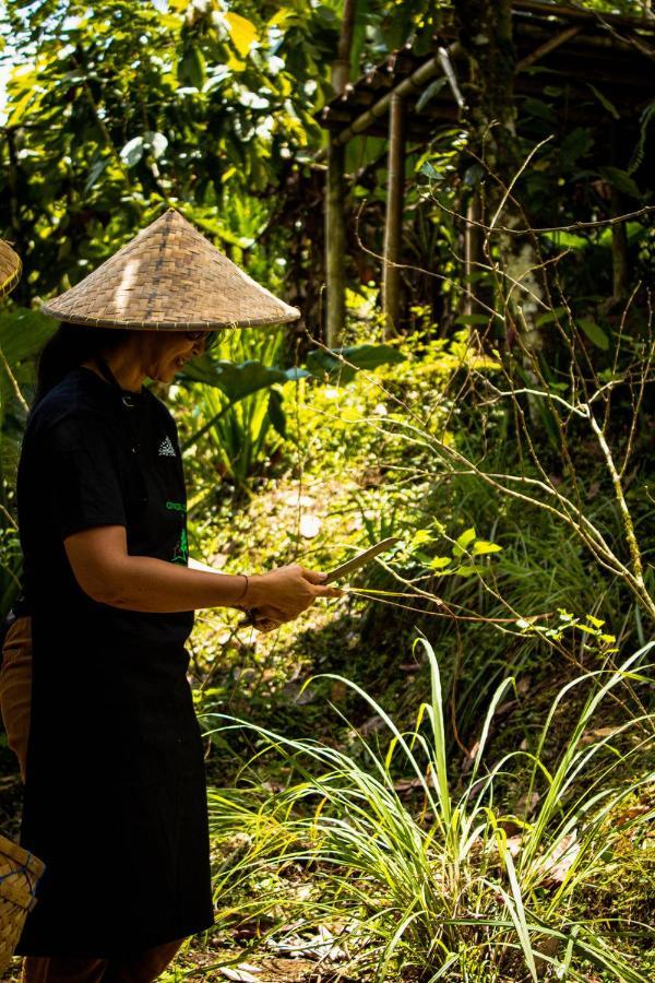 Bali Jungle Camping By Amerta Experience Selemadeg Eksteriør bilde