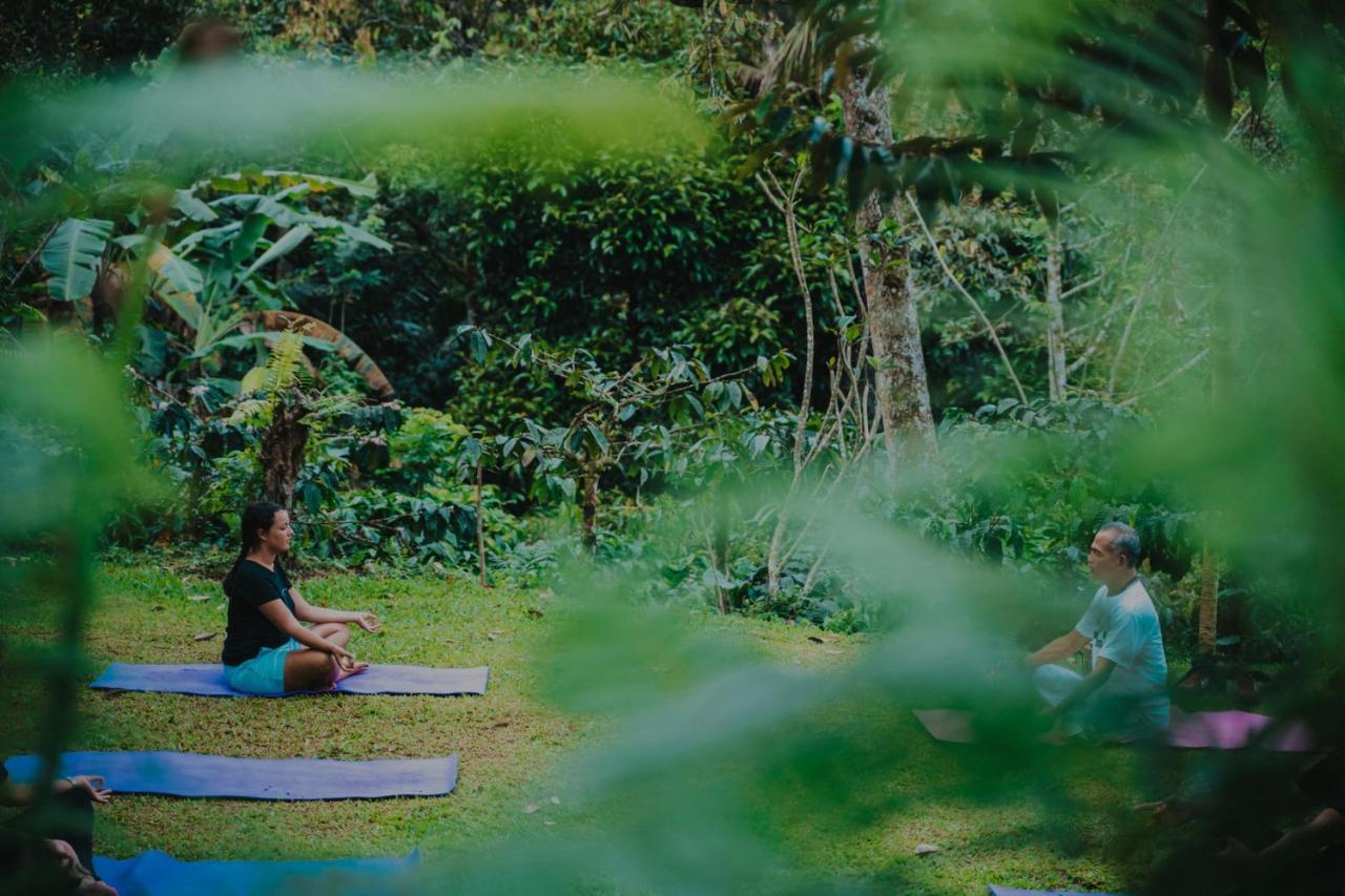 Bali Jungle Camping By Amerta Experience Selemadeg Eksteriør bilde