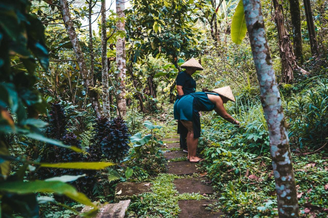 Bali Jungle Camping By Amerta Experience Selemadeg Eksteriør bilde