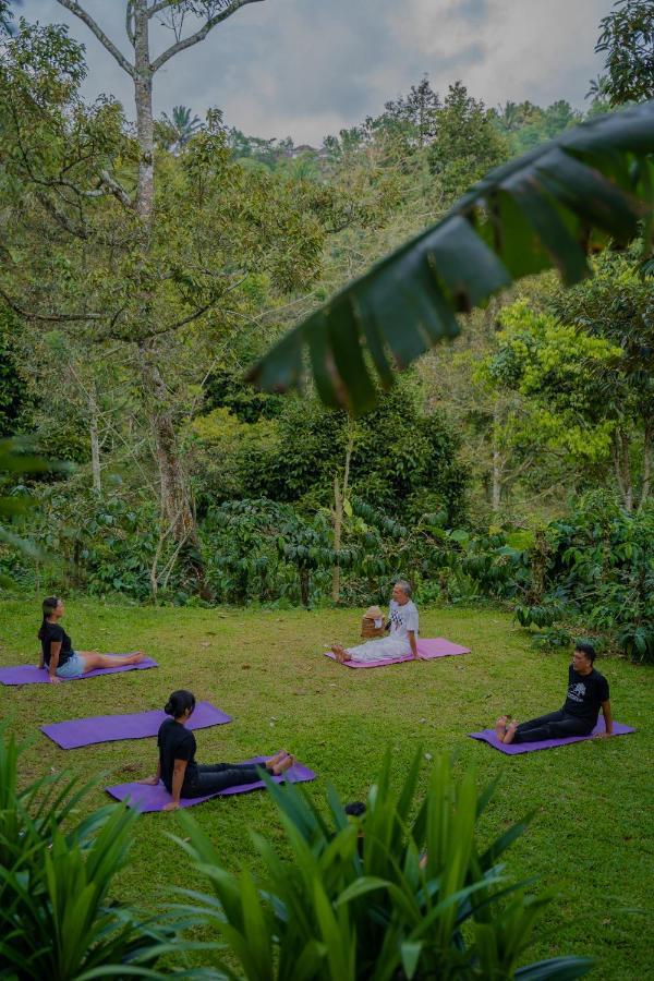 Bali Jungle Camping By Amerta Experience Selemadeg Eksteriør bilde