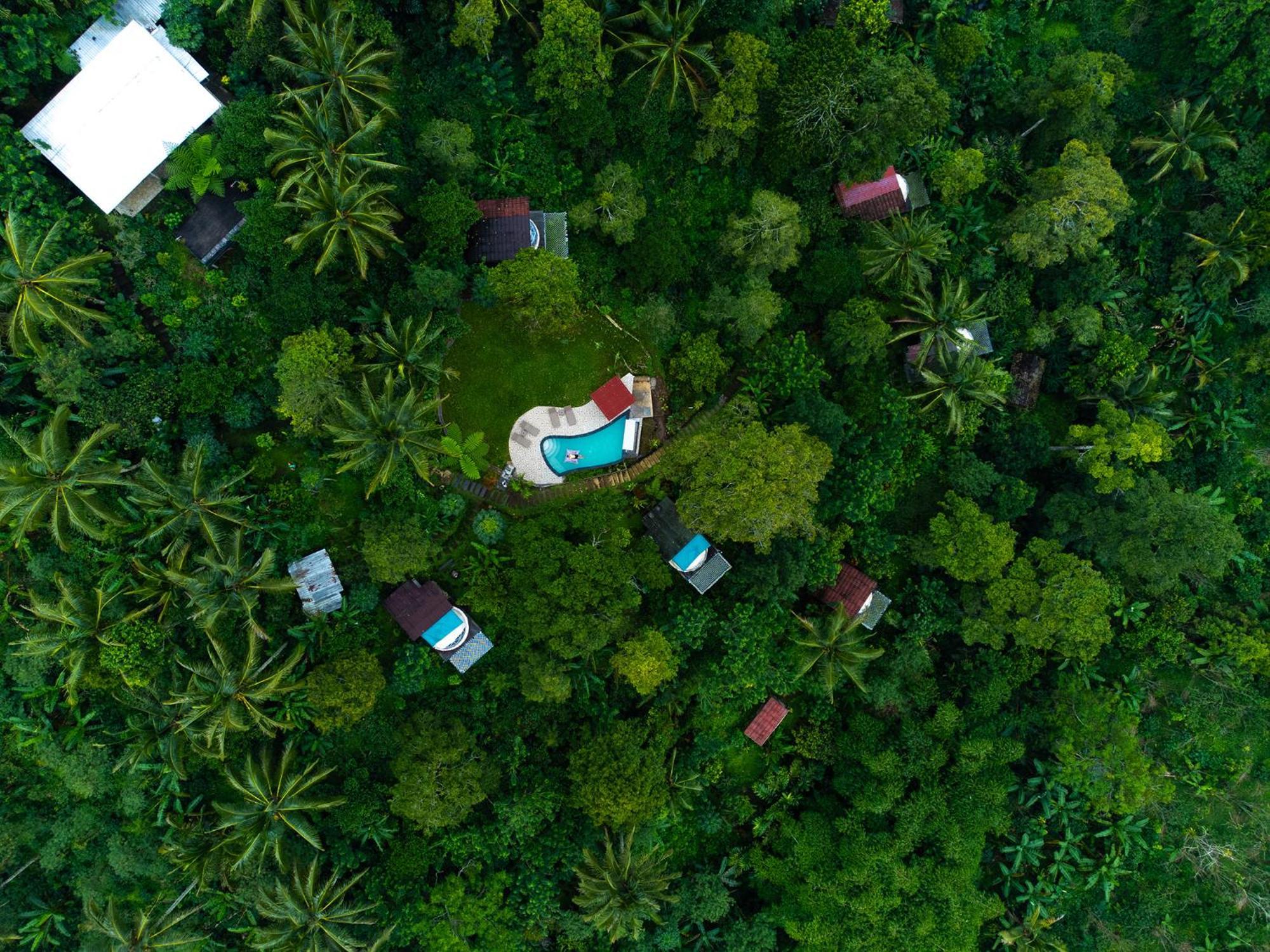 Bali Jungle Camping By Amerta Experience Selemadeg Eksteriør bilde